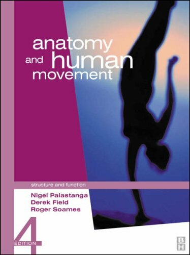 Anatomy and human - and,