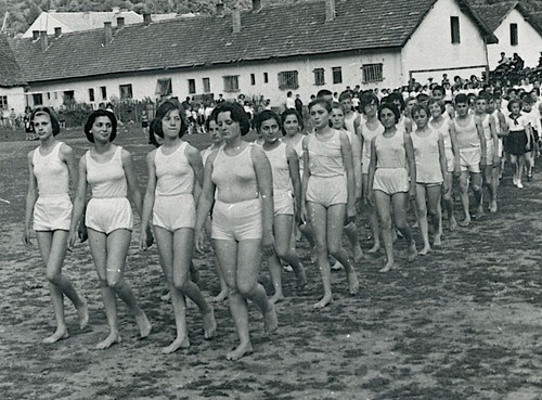 Abbigliamento ginnastica - abbigliamento,