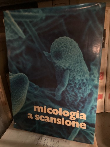 Micologia scansione - micologia, a