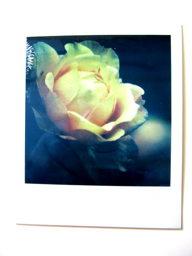 Araki polaroid originale - n.,