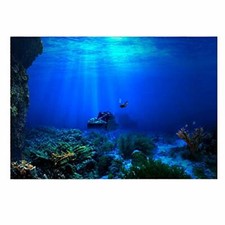Acquario Sfondo HD Sottomarino