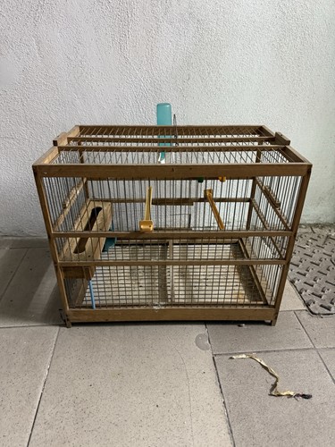 Gabbia uccelli legno - uccelli, in