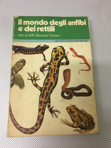 Libro mondo degli - libro,