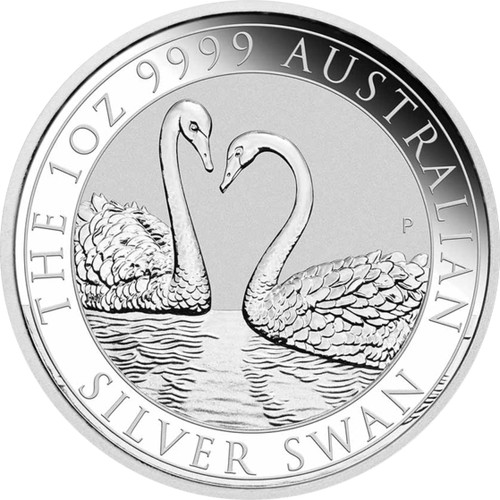 Argento cigno australia - cigno,