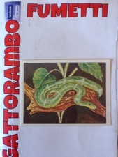 Figurine Zoo Mappa Della