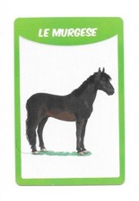 Carte 50 races de chevaux - Le