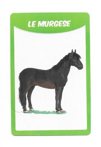 Carte races chevaux le - carte,