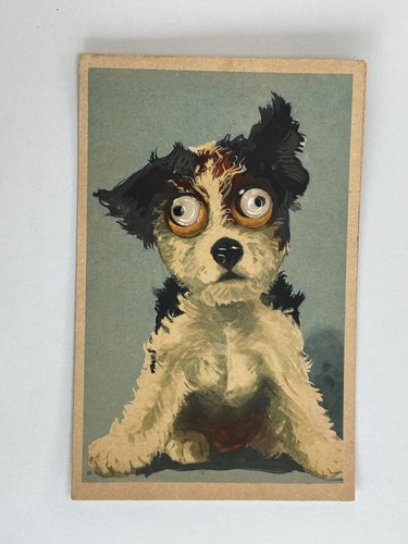 Cane con occhi mobili - cane,