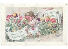 1937 angelo bambino farfalla