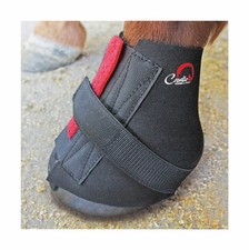 Stivali cavallo pastern - cavallo,
