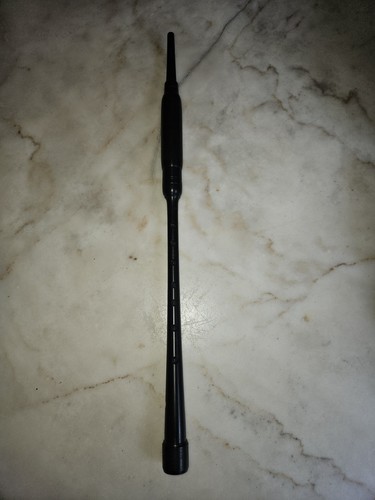 Dunbar millennium 2000 - millennium,