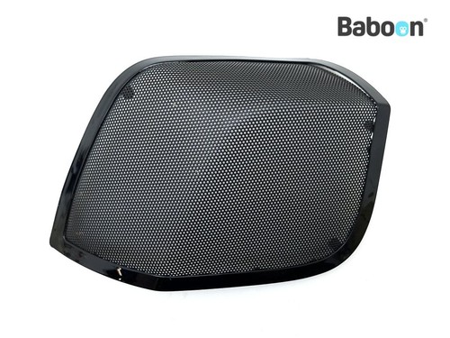Speaker radio destro