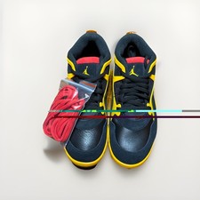 Nike Air Jordan 4 RM Bruce Lee