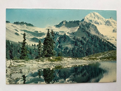 Vintage diamond head peak - head,