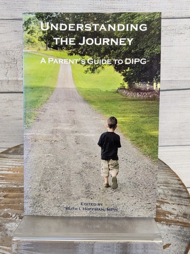 Understanding the journey - the, a