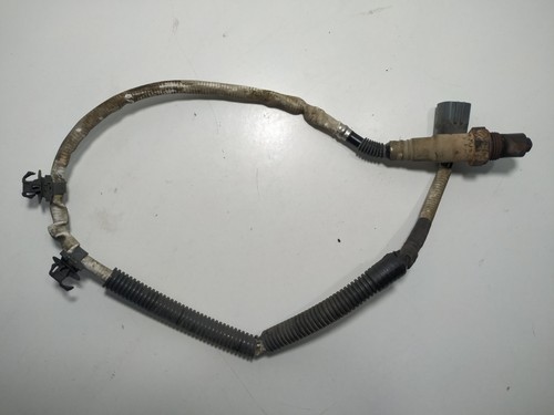 Sonda lambda per - sonda,