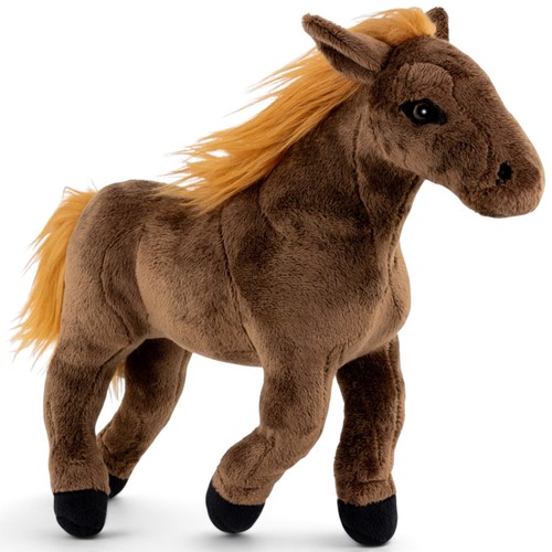 Cavallo piedi marrone lungo - piedi,
