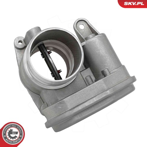 Corpo farfallato per citroen - corpo,