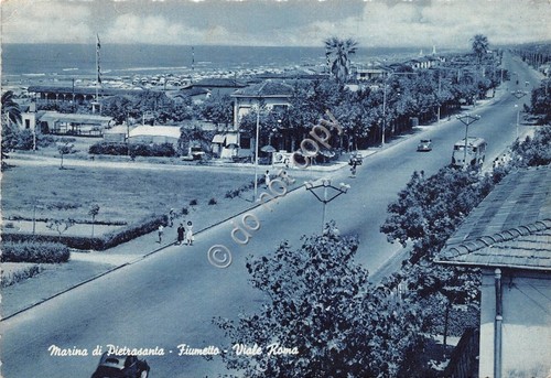 Cartolina marina - cartolina,