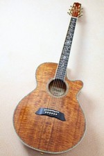 Takamine dmp100k n - takamine, /