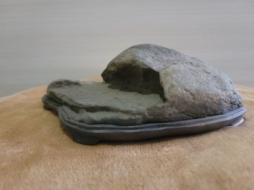 Bonsai suiseki bonseki - bonsai,