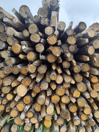 Pali castagno scortecciati - scortecciati, e