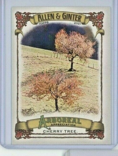 Inserto apprezzamento arboreo
