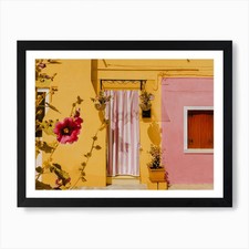 Fiori porta burano - fiori, burano,