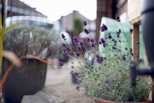 Praktica B100 Electronic +