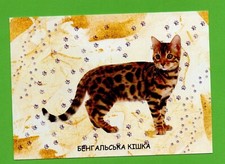 Cartolina Ucraina 2022 gatto