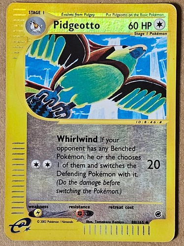 Pidgeotto expedition pokemon - pidgeotto,