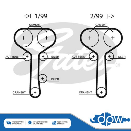 Cinghia distribuzione dpw - cinghia,