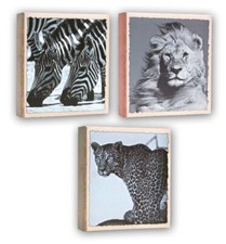 Album Portafoto in carta 13 x 19 / 100 foto a tasche - Wild Life