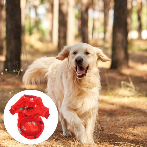 Adorabili vestiti per animali - ,