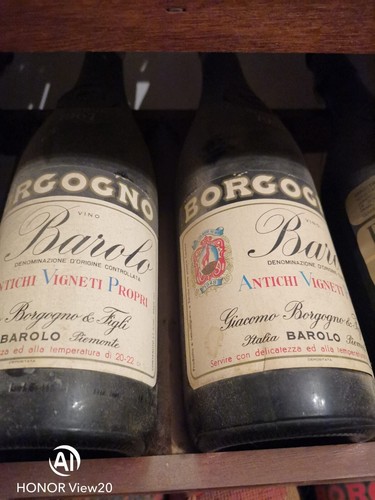 Vino barolo 1970 giacomo - vino,