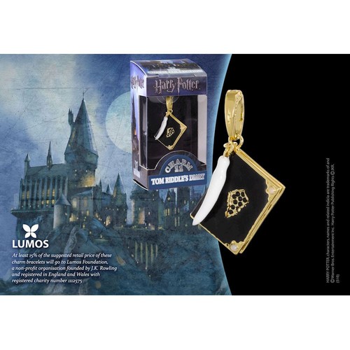 Charm diario tom riddle - tom,