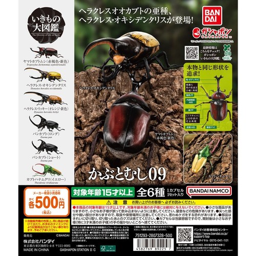 Beetle encyclopedia vol - encyclopedia, vol.9