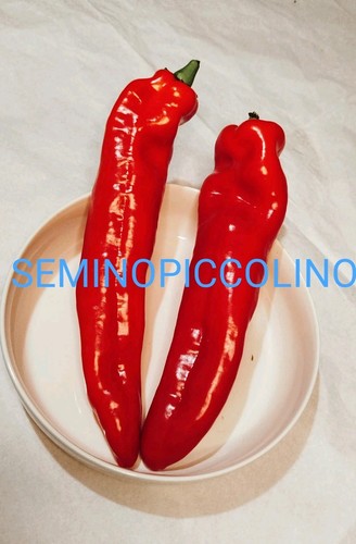 Semi peperone corno rosso - semi,