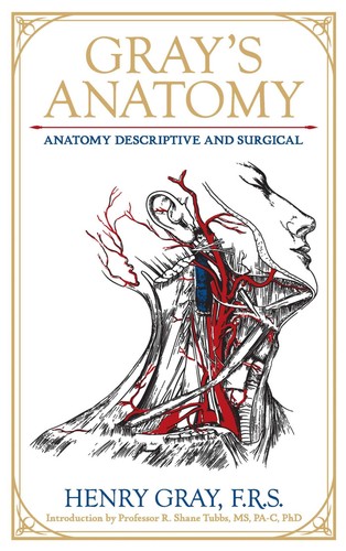 Gray anatomy - anatomy:,