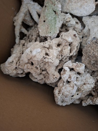 Rocce vive per - , marino