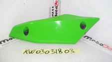 Carena puntale sinistro Tip left fairing Kawasaki Z 1000 07 09
