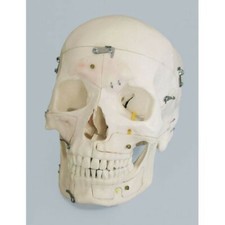 Erler Zimmer, modello