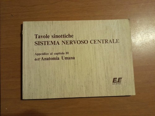 Sistema nervoso centrale - sistema,