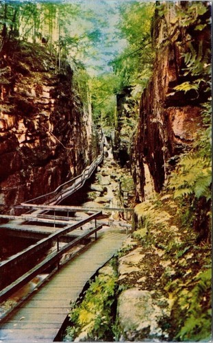 Flume gorge franconia - franconia, notch