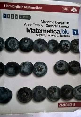 Matematica blu 2 - 1, e