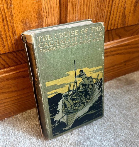 The cruise cachalot - cruise,