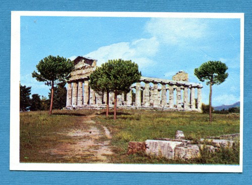 Italia patria nostra panini - patria,