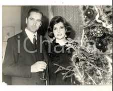 1963 ROMA Gina LOLLOBRIGIDA e Milko SKOFIC festeggiano il natale in casa *Foto 