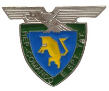 Distintivo alpini Reparto