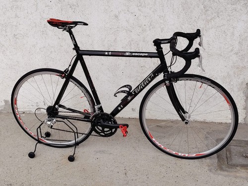 Bicicletta corsa wilier - bicicletta,